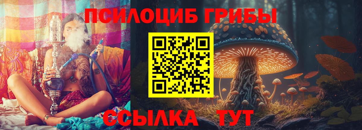 Галлюциногенные грибы MAGIC MUSHROOMS Назарово