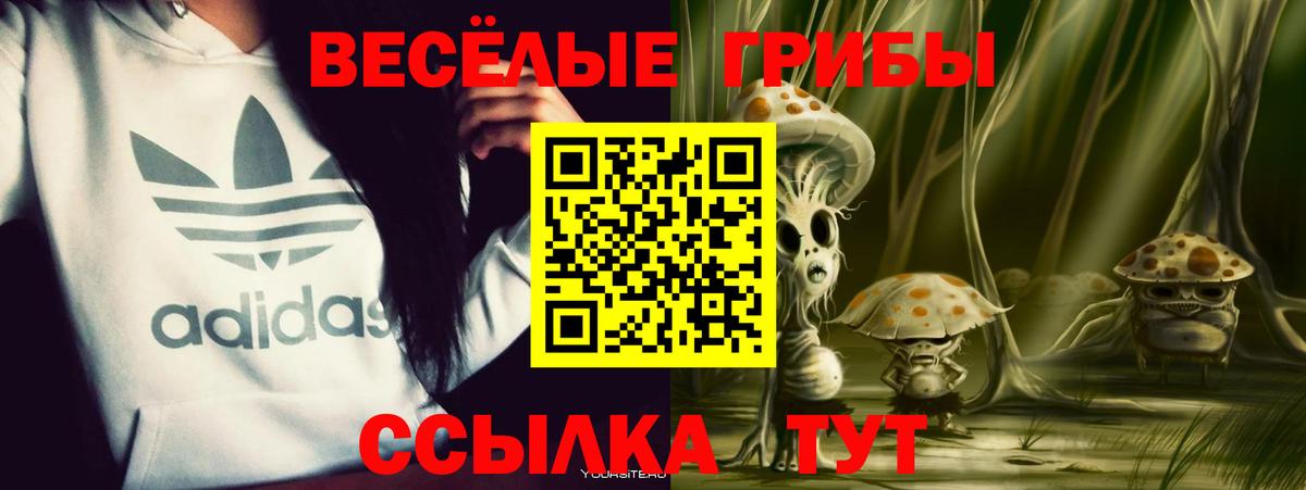 Назарово  Галлюциногенные грибы Cubensis  Вход с VPN 
